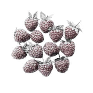 Raspberry seed oil